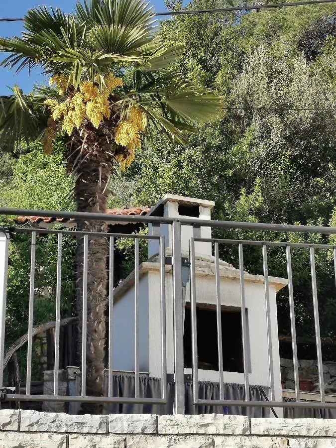 Villa Calendula Novigrad